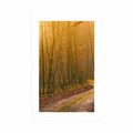 POSTER MIT PASSEPARTOUT WEG IN DEN WALD - NATUR - POSTER