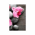 POSTER ELEGANT COMPOSITION WITH ORCHID FLOWERS - FENG SHUI - POSTERS