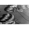 CANVAS PRINT POPPIES IN AN ETHNO TOUCH IN BLACK AND WHITE - BLACK AND WHITE PICTURES - PICTURES