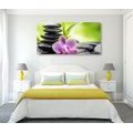 CANVAS PRINT TROPICAL ZEN COMPOSITION - PICTURES FENG SHUI - PICTURES