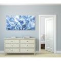 CANVAS PRINT BLUE-WHITE HYDRANGEA FLOWERS - PICTURES FLOWERS - PICTURES