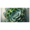 WANDBILD SCHÖNHEIT DER SUKKULENTE - BOTANISCHE BILDER - BILDER