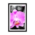 POSTER MIT PASSEPARTOUT WUNDERSCHÖNE ORCHIDEE UND STEINE - FENG SHUI - POSTER