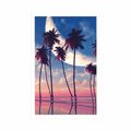 AFFICHE COUCHER DE SOLEIL SUR LES PALMIERS TROPICAUX - NATURE - AFFICHES