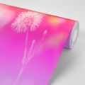 SELF ADHESIVE WALLPAPER DANDELION ON A PINK BACKGROUND - SELF-ADHESIVE WALLPAPERS - WALLPAPERS