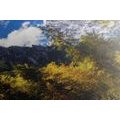 CANVAS PRINT MOUNTAIN LANDSCAPE - PICTURES OF NATURE AND LANDSCAPE - PICTURES