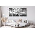 IMPRESSION SUR TOILE EN 5 PARTIES ARBRE EN NOIR ET BLANC COUVERT DE NUAGES - IMPRESSIONS SUR TOILE NOIR ET BLANC - IMPRESSION SUR TOILE