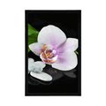 POSTER ZEN-STEINE UND ORCHIDEE - BLUMEN{% if product.category.pathNames[0] != product.category.name %} - GERAHMTE POSTER{% endif %}
