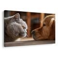 WANDBILD KATZENBLICK UND HUNDEFREUNDSCHAFT - BILDER TIERE - BILDER
