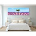 CANVAS PRINT PROVENÇAL LAVENDER FIELD - PICTURES OF NATURE AND LANDSCAPE - PICTURES