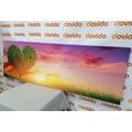 CANVAS PRINT HEART-SHAPED TREE IN A MEADOW - PICTURES LOVE - PICTURES