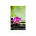 POSTER WITH MOUNT FENG SHUI STILL LIFE - FENG SHUI - POSTERS