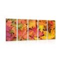 5-PIECE CANVAS PRINT AUTUMN LEAVES - STILL LIFE PICTURES - PICTURES