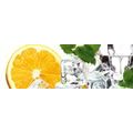 SELF ADHESIVE PHOTO WALLPAPER FOR KITCHEN LEMON WITH ICE - WALLPAPERS{% if product.category.pathNames[0] != product.category.name %} - WALLPAPERS{% endif %}