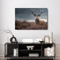 OBRAZ MAJESTÁTNÍ JELEN V PŘÍRODĚ - OBRAZY JELENI - OBRAZY
