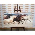 TABLEAU SUR TOILE – TROUPEAU DE CHEVAUX - IMAGES D'ANIMAUX - TABLEAUX