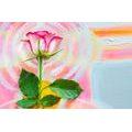 SELF ADHESIVE WALL MURAL ROSE ON A CANVAS - SELF-ADHESIVE WALLPAPERS - WALLPAPERS