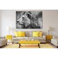 CANVAS PRINT AFRICAN LION IN BLACK AND WHITE - BLACK AND WHITE PICTURES - PICTURES