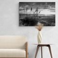 CANVAS PRINT SUNSET ON A BEACH IN BLACK AND WHITE - BLACK AND WHITE PICTURES - PICTURES