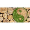 CANVAS PRINT YIN AND YANG IN ECO DESIGN - PICTURES FENG SHUI - PICTURES