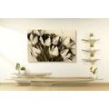 CANVAS PRINT SPRING TULIPS IN SEPIA - BLACK AND WHITE PICTURES - PICTURES