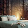CARTA DA PARATI – LUCE NEL BOSCO - CARTA DA PARATI NATURA - CARTA DA PARATI