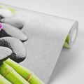 FOTOTAPETA ZÁTIŠIE S FIALOVOU ORCHIDEOU (2) - WALLPAPERS - 🔥 TOTAL SALE 🔥