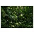 TABLEAU SUR TOILE – JUNGLE TROPICALE VERDOYANTE - TABLEAUX ARBRES ET FEUILLES - TABLEAUX