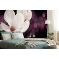 SELF ADHESIVE WALLPAPER MAGNOLIA FLOWER ON AN ABSTRACT BACKGROUND - SELF-ADHESIVE WALLPAPERS - WALLPAPERS