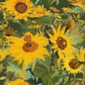 CARTA DA PARATI GIRASOLI ALLO STATO BRADO - FIORI DI CARTA DA PARATI - CARTA DA PARATI