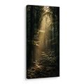 OBRAZ TICHÝ LES V RANNÍM SVITU - PICTURES FOREST - PICTURES