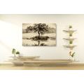 CANVAS PRINT ORIENTAL CHERRY IN SEPIA DESIGN - BLACK AND WHITE PICTURES - PICTURES