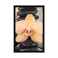 POSTER YELLOW ORCHID AND ZEN STONES - FENG SHUI - POSTERS