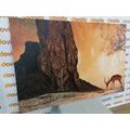 CANVAS PRINT AFRICAN ANTELOPE - PICTURES OF ANIMALS - PICTURES