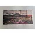 5-PIECE CANVAS PRINT MEADOW OF BLOOMING FLOWERS - PICTURES OF NATURE AND LANDSCAPE - PICTURES