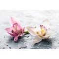 SELF ADHESIVE WALL MURAL ORCHID FLOWERS - SELF-ADHESIVE WALLPAPERS - WALLPAPERS