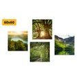 CANVAS PRINT SET BEAUTIFUL GREEN NATURE - SET OF PICTURES - PICTURES