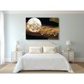 CANVAS PRINT BIRD FLIGHT ON A FULL MOON - ABSTRACT PICTURES - PICTURES