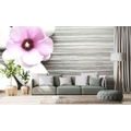 WALL MURAL INTERPLAY OF STONES AND A PINK FLOWER - WALLPAPERS FENG SHUI - WALLPAPERS