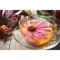 TABLEAU SUR TOILE – TASSE DE THÉ AUX HERBES - IMAGES DE NOURRITURE ET DE BOISSONS - TABLEAUX