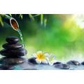 WANDBILD HARMONIE IM ZEN-GARTEN - BILDER MIT FENG SHUI-MOTIVEN - BILDER