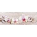 SELF ADHESIVE PHOTO WALLPAPER FOR KITCHEN ORCHID IN ZEN GARDEN - WALLPAPERS{% if product.category.pathNames[0] != product.category.name %} - WALLPAPERS{% endif %}