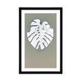 POSTER WITH MOUNT WHITE MONSTERA LEAF - MOTIFS FROM OUR WORKSHOP - POSTERS