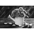 CANVAS PRINT ROSE IN A WATERING CAN IN BLACK AND WHITE - BLACK AND WHITE PICTURES - PICTURES