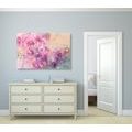 CANVAS PRINT PINK BRANCH OF FLOWERS - PICTURES FLOWERS - PICTURES