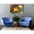 CANVAS PRINT ORANGE ORCHID - PICTURES FLOWERS - PICTURES