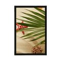 POSTER SEASHIELLS UNDER PALM LEAVES - STILL LIFE - POSTERS