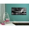 CANVAS PRINT FUTURISTIC PLANET IN BLACK AND WHITE - BLACK AND WHITE PICTURES - PICTURES