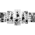 5-PIECE CANVAS PRINT BLACK AND WHITE FLOWERS ON AN ABSTRACT BACKGROUND - BLACK AND WHITE PICTURES - PICTURES