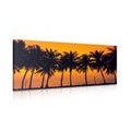 CANVAS PRINT SUNSET OVER PALM TREES - PICTURES OF NATURE AND LANDSCAPE - PICTURES